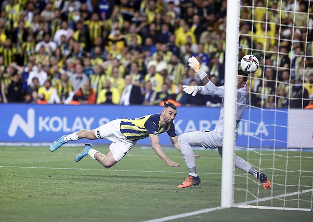 也为我们提 也为我们提